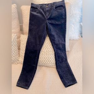 NWOT Ann Taylor dark blue skinny velvet pants size 8